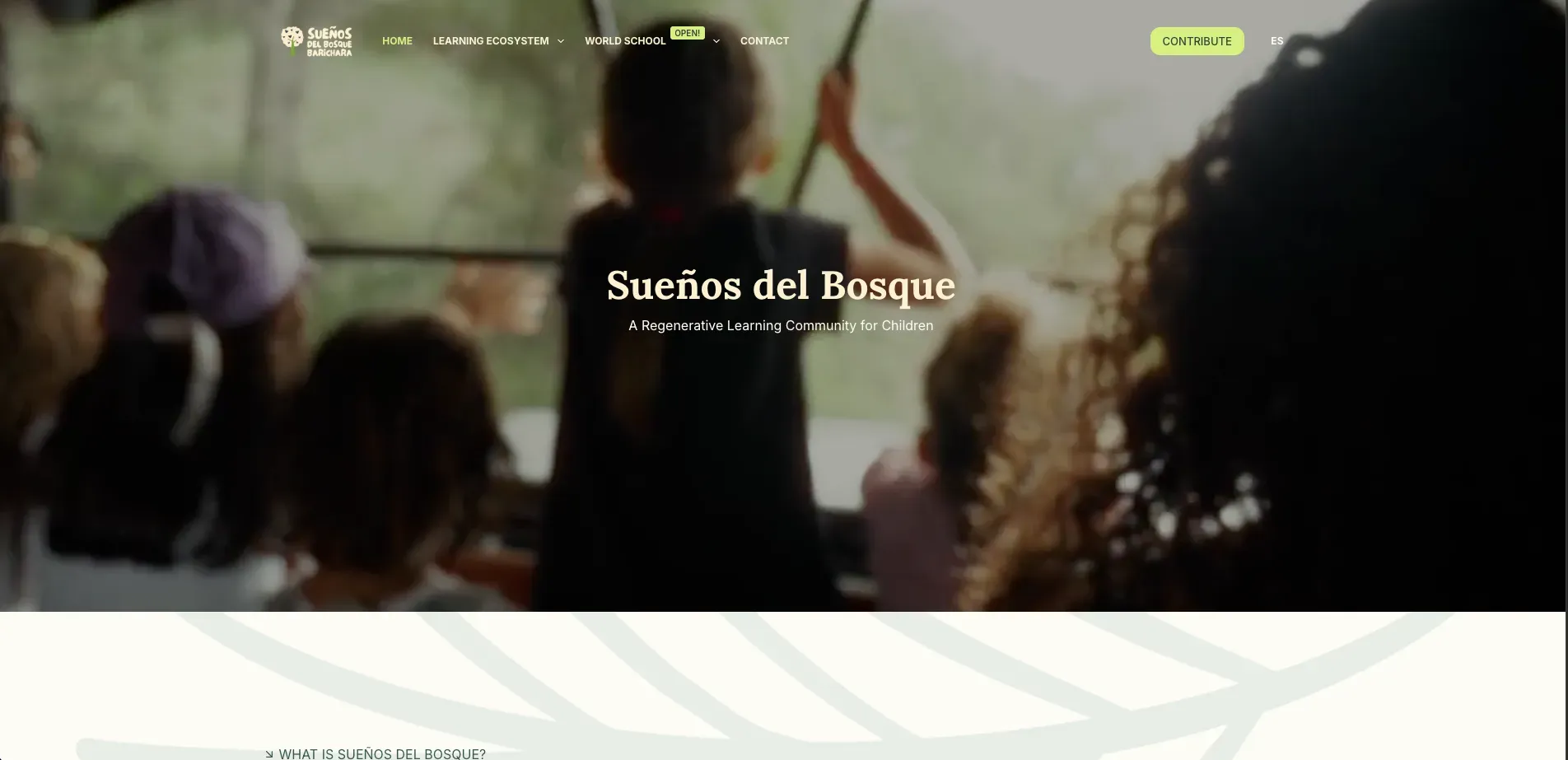 Sueños del Bosque website showing children learning in nature.
