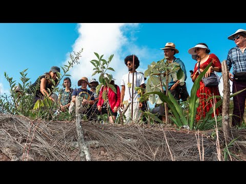 Design School for Regenerating Earth | Embodic Films