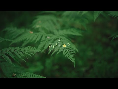 Shinrinyoku.lt | Embodic Films