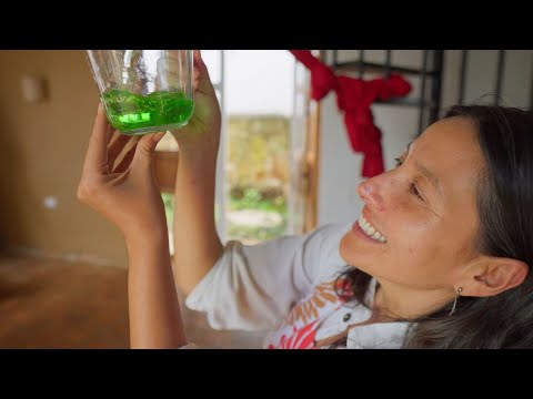 Casa Común Convocatoria | Embodic Films