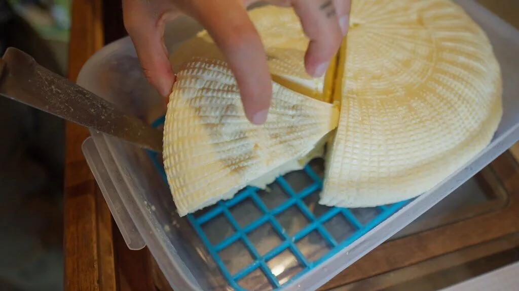 Homemade cheese wheel being sliced in a container