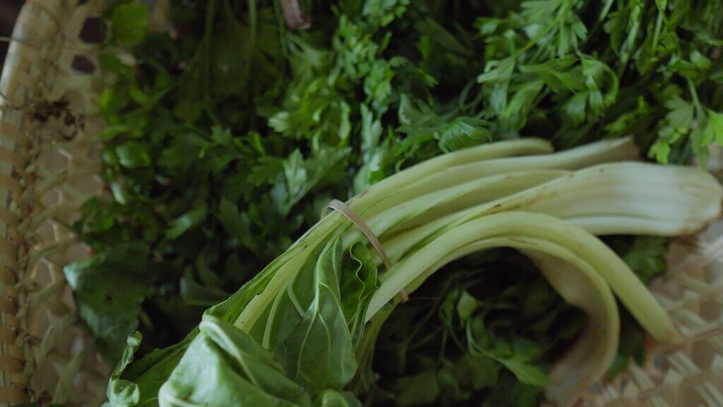Fresh greens in a basket, including chard and parsley, ready for a Casa Común recipe.