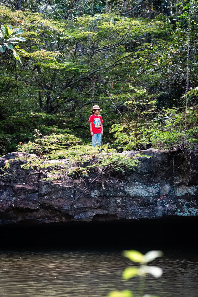 A child wearing a red shirt, jeans, and a hat stands on a rocky ledge surrounded by dense green trees, with water visible below—the perfect setting for an Embodic Films adventure.