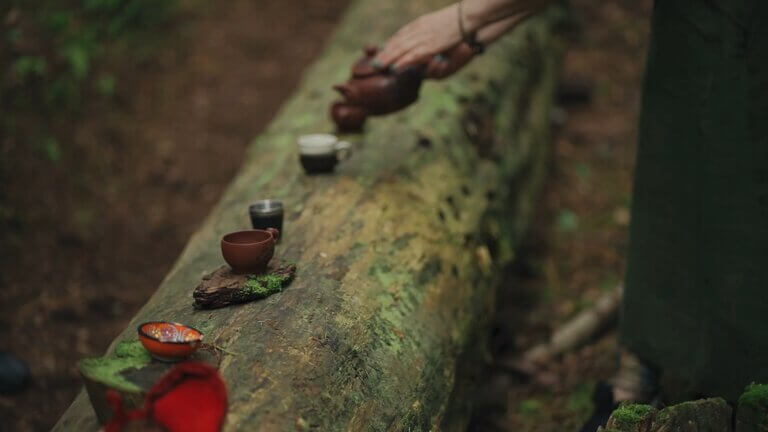Tea ceremony on a mossy log in the forest, reflecting Shinrinyoku.lt's focus on nature and wellbeing.