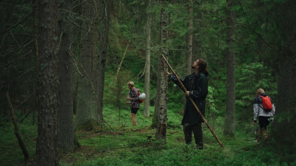 People forest bathing in a lush green forest, exploring nature.