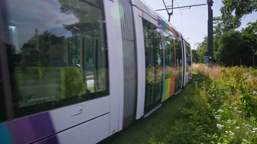 Modern tram with colorful stripes moving through a green, grassy area.