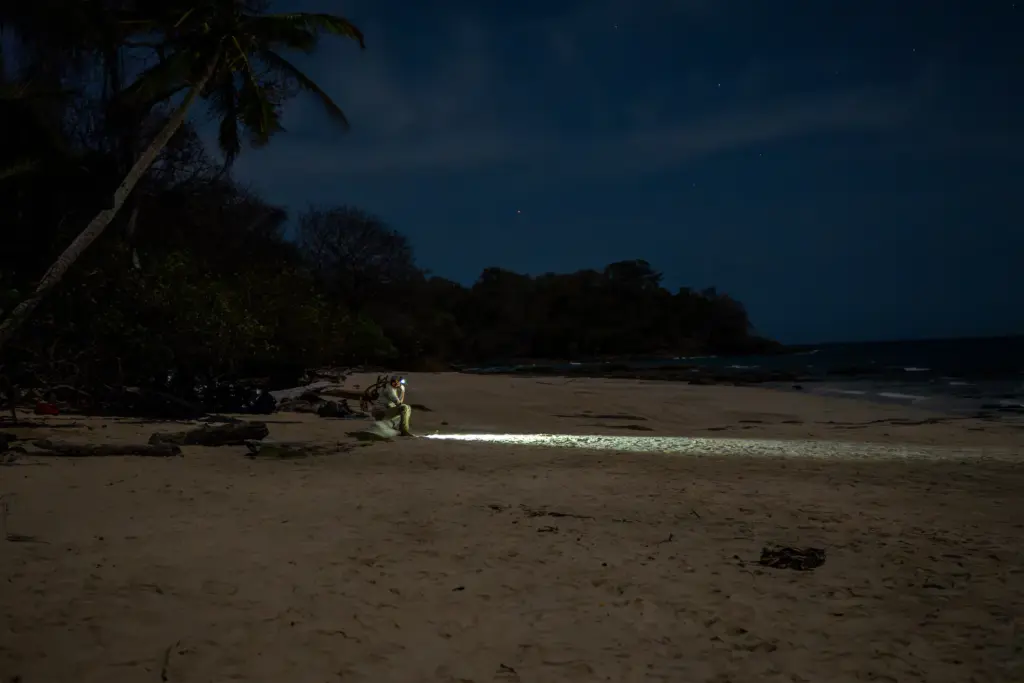 A person on a sandy beach at night shines a flashlight toward the shoreline, with trees and the ocean in the background, capturing an atmospheric scene reminiscent of Embodic Films’ signature style.