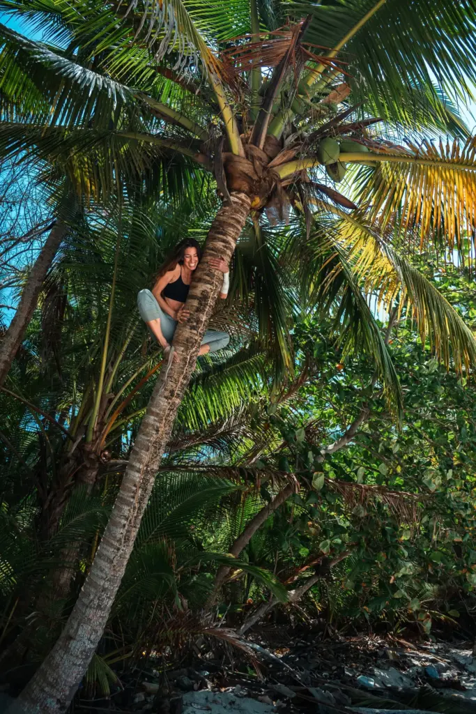 A person in casual clothing is climbing a leaning palm tree surrounded by lush tropical vegetation under a blue sky, capturing the adventurous spirit of Embodic Films.