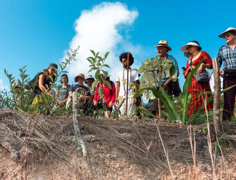 Ds barichara 2025 128 skipop