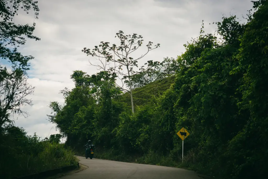 Motorcycle on road, cow crossing sign, lush greenery. El Páramo trip.